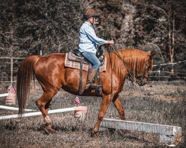 Spot On Clinic @ the ranch